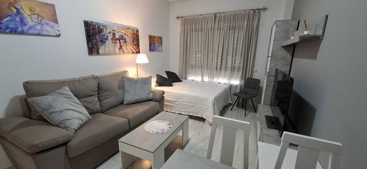 Apartamento barrerillo 5 - 317 - 14